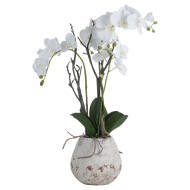 White Orchid In Stone Pot - Thumb 2