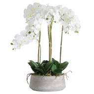 Large White Orchid In Stone Pot - Thumb 2