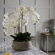 Large White Orchid In Stone Pot - Thumb 4
