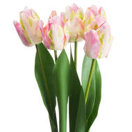 Pink & Green Tulip - Thumb 3