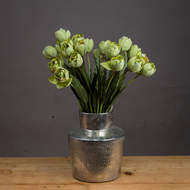 Green Tulip - Thumb 1