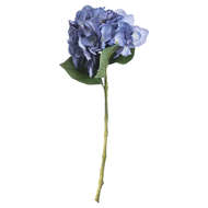 Lilac Hydrangea - Thumb 4