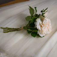 Peachy Cream Short Stem Rose Bouquet - Thumb 4