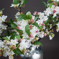 English Blossom Branch - Thumb 2