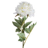 Classic White Peony - Thumb 4