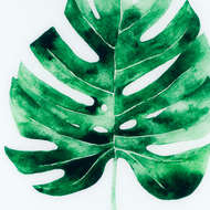Cheese Plant Glass Image In Gold Frame - Thumb 2
