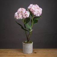 Pale Pink Oversized Hydrangea Spray - Thumb 3