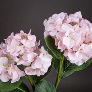 Pale Pink Oversized Hydrangea Spray - Thumb 4