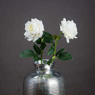 Large White Garden Rose - Thumb 1