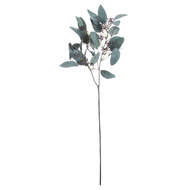 Seeded Eucalyptus Stem - Thumb 3