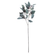 Seeded Eucalyptus Stem - Thumb 1