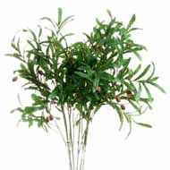 Olive Branch - Thumb 1