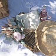 Pastel Pink Ranunculus - Thumb 6