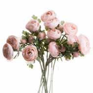 Pastel Pink Ranunculus - Thumb 1