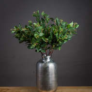 Summer Seeded Eucalyptus - Thumb 1
