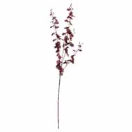 Deep Burgundy Orchid Spray - Thumb 2
