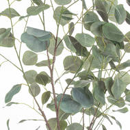 Large Eucalyptus Tree In Metallic Pot - Thumb 2