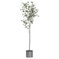 Large Eucalyptus Tree In Metallic Pot - Thumb 1