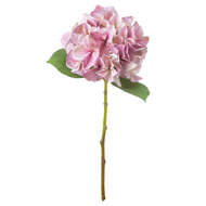 Shabby Pink Single Hydrangea - Thumb 2