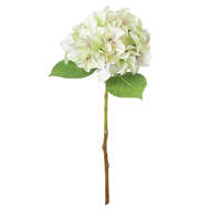 Shabby Green Single Hydrangea - Thumb 2