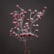 Large Red Festive Berry - Thumb 1