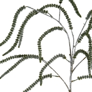 Festive Amaranthus - Thumb 2