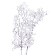 Snowy Branch - Thumb 2