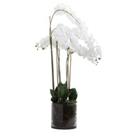 Large White Tall Orchid In Glass Pot - Thumb 1