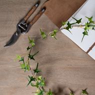 Small Ivy Garland - Thumb 4