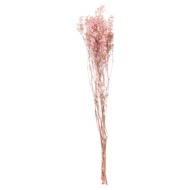 Dried Pale Pink Babys Breath Bunch - Thumb 3