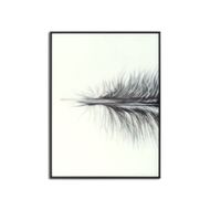Black Striped Feather Over 3 Black Glass Frames - Thumb 2
