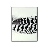 Black Striped Feather Over 3 Black Glass Frames - Thumb 3