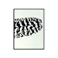 Black Striped Feather Over 3 Black Glass Frames - Thumb 4