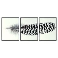 Black Striped Feather Over 3 Black Glass Frames - Thumb 1