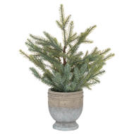 Garda Pine Tree In Stone Pot - Thumb 1