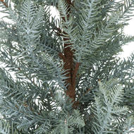 Tall Christmas Fir Tree In Stone - Thumb 2