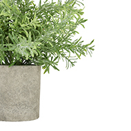 Rosemary Plant In Stone Effect Pot - Thumb 2
