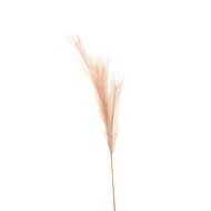Faux Pampas Grass Stem - Thumb 1