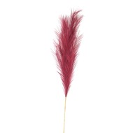 Scarlet Large Faux Pampas Grass Stem - Thumb 1