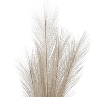 Bleached  Large Faux Pampas Grass Stem - Thumb 3