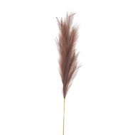 Taupe Large Faux Pampas Grass Stem - Thumb 1