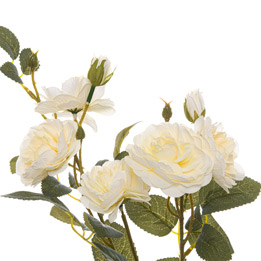 Soft White Cottage Rose Stem - Thumb 2