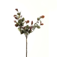 Variegated Eucalyptus Bouquet - Thumb 2