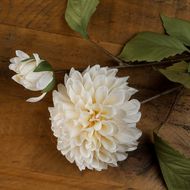 White Dahlia Stem - Thumb 1