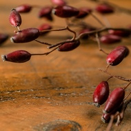 Burgundy Rosehip Stem - Thumb 2