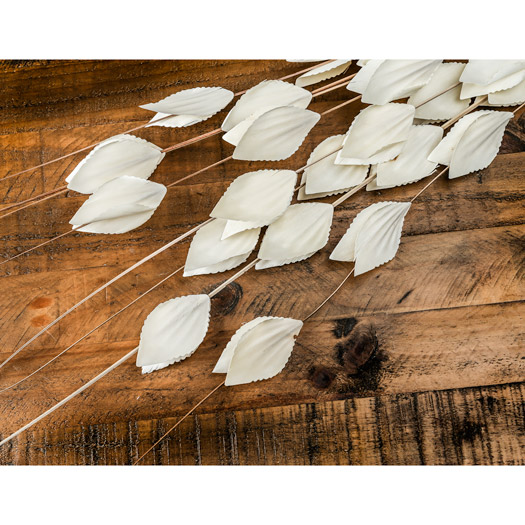 Bouquet Of Dried  Thlaspi Arvense - Thumb 3