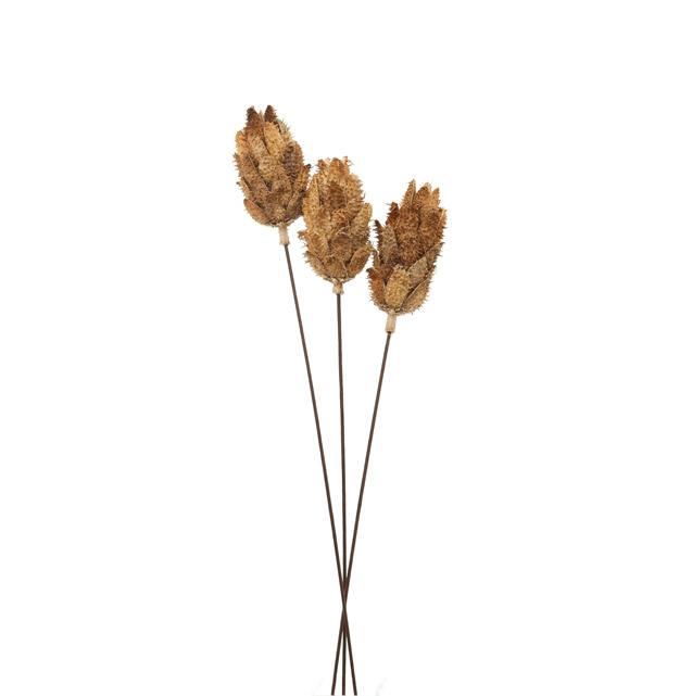 Bouquet Of Dried Protea - Thumb 1