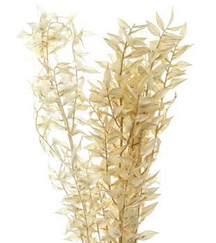 Bouquet Of Dried Avena - Thumb 2