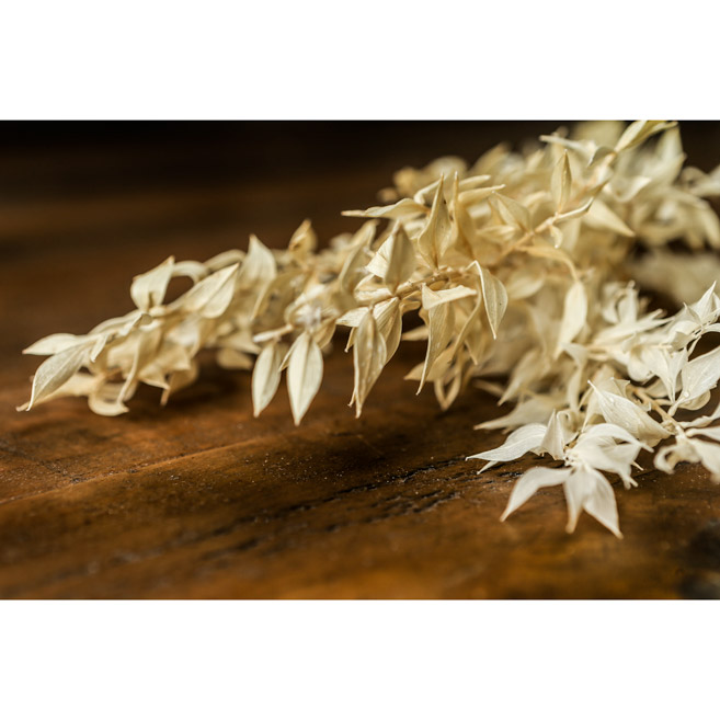 Bouquet Of Dried Avena - Thumb 4