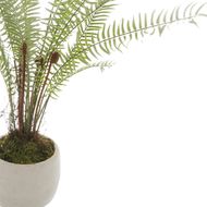 White Potted Boston Fern - Thumb 2